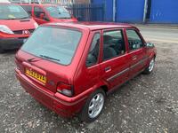 ROVER 100